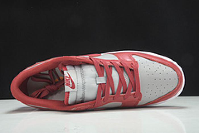 Dunk Low SP
