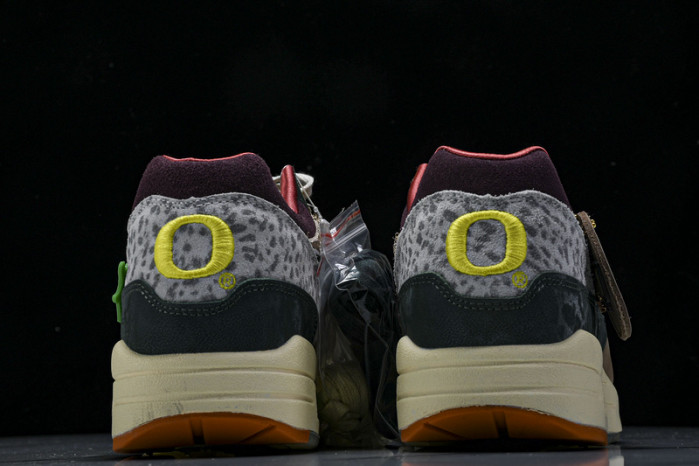 Division Street x Nike Air Max 1 "Oregon Ducks”  HQ2639-100