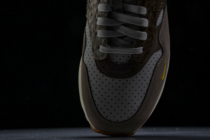 Division Street x Nike Air Max 1 "Oregon Ducks”  HQ2639-100
