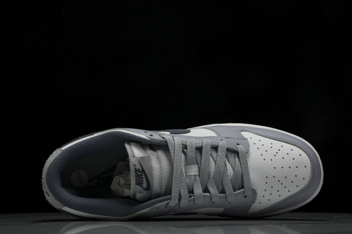 Nk Dunk Low "Light Carbon" FJ4188-100