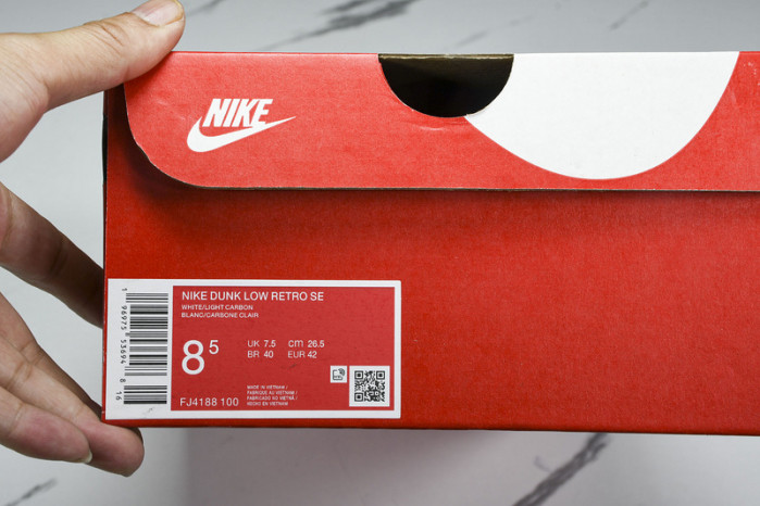 Nk Dunk Low "Light Carbon" FJ4188-100