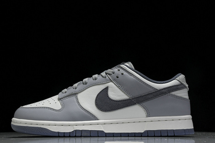 Nk Dunk Low "Light Carbon" FJ4188-100