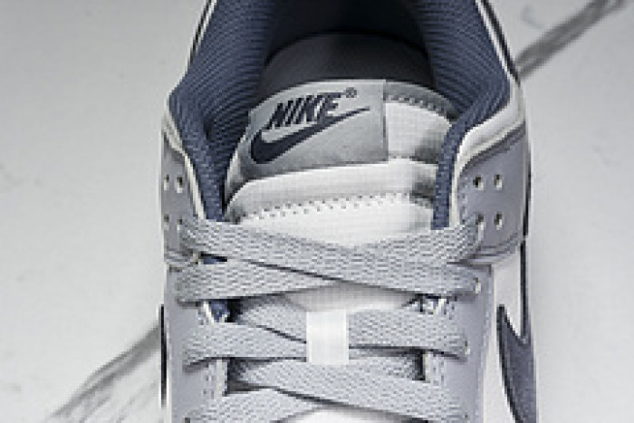 Nk Dunk Low "Light Carbon" FJ4188-100