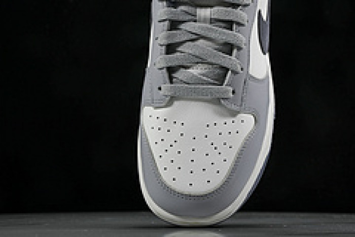 Nk Dunk Low "Light Carbon" FJ4188-100