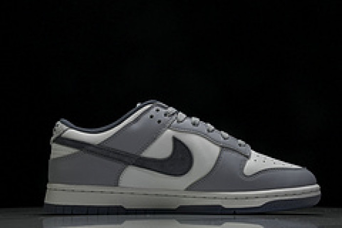 Nk Dunk Low "Light Carbon" FJ4188-100