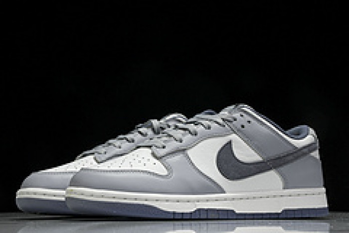 Nk Dunk Low "Light Carbon" FJ4188-100