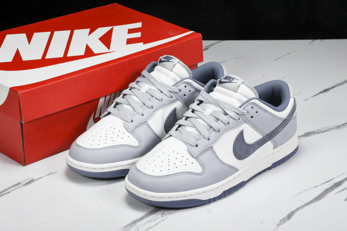 Nk Dunk Low "Light Carbon" FJ4188-100