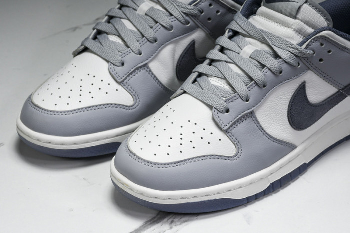 Nk Dunk Low "Light Carbon" FJ4188-100