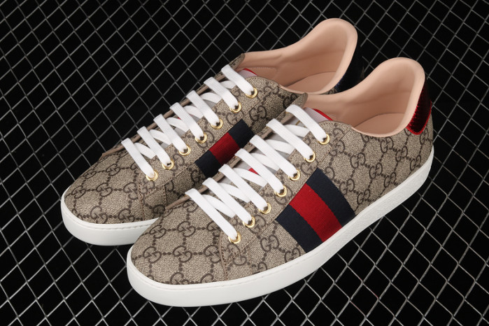 GUCC SNEAKER